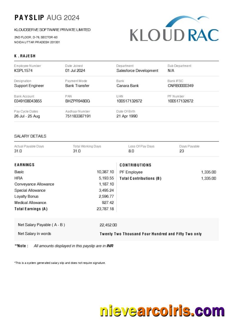 Kloudserve Software payslip